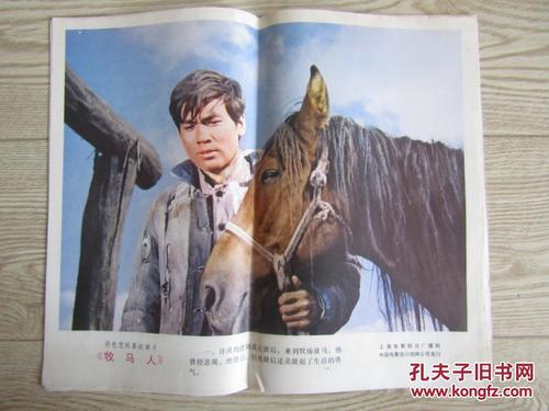 买假密立根学院学位证